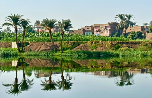 620 pixels placeholder image